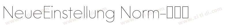 NeueEinstellung Norm字体转换
